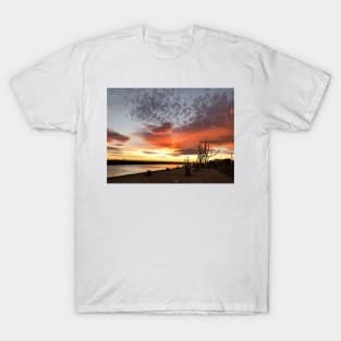 Delightful December Daybreak (2) T-Shirt